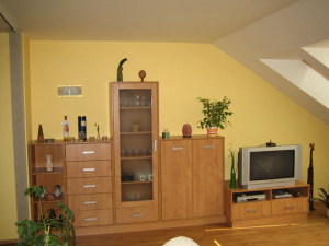 BR Kuchyně - Obývací pokoje Opava 013